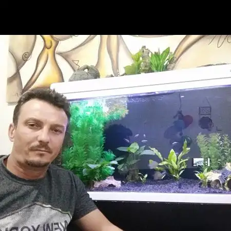Aleksandr, 49Arad