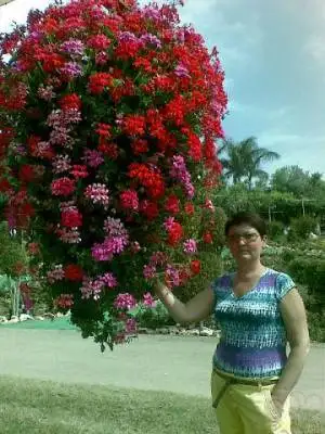 Mila, 71Haifa 