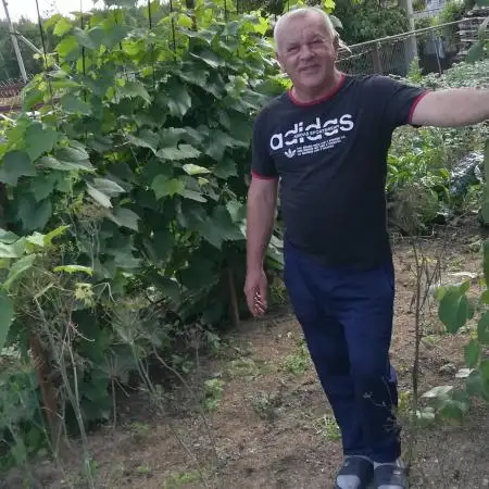 Sergey, 66Nazrat Illit