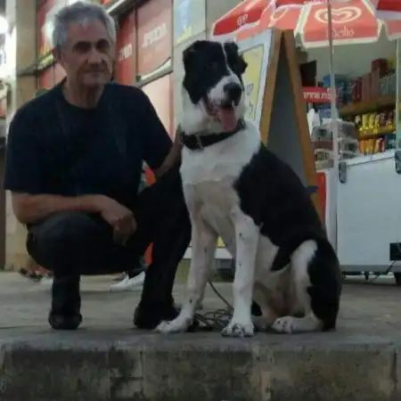 Semen, 55Rishon LeZion 
