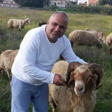 דיין, 58Haifa 