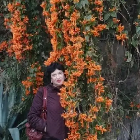 elena, 69Tel Aviv 
