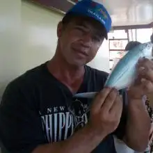 dima, 55Haifa