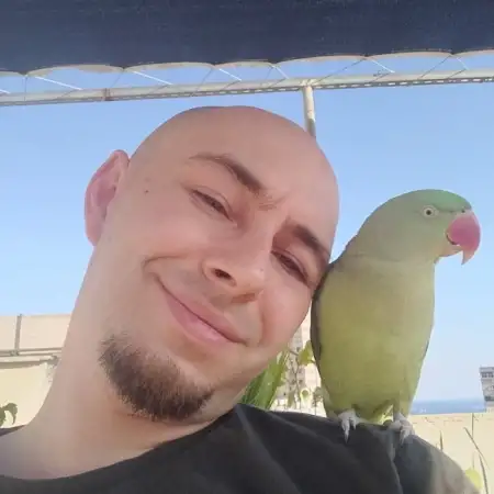 Anton, 35Haifa