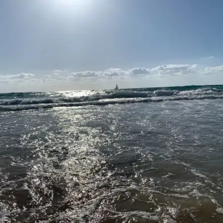דניאל, 71Herzliya 