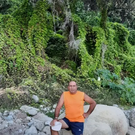 רוי, 59Holon 