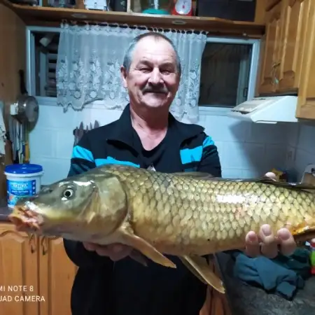 Aleksandr, 68Nazrat Illit 