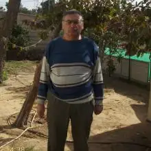 alexandr, 67Beer Sheva 