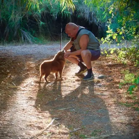 Mark, 67Rehovot 