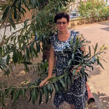 Bella, 70 Haifa
