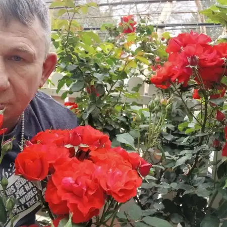 Samuel, 48Netanya 