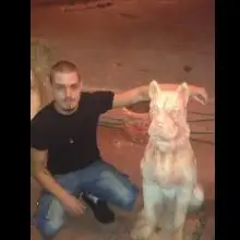 sasha, 36Safed 