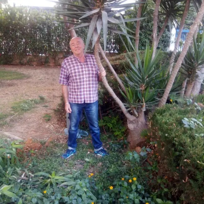 Nicki, 74, Ashdod - Dately