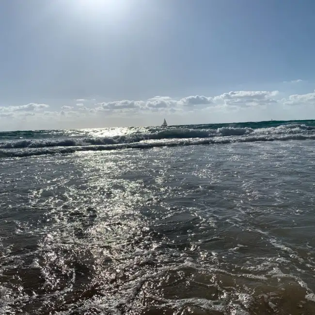דניאל, 71, Herzliya - Dately