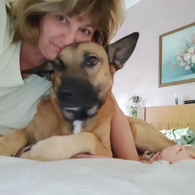 Iulika, 54