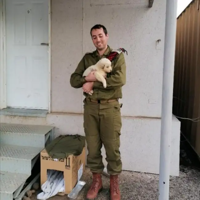 Dan, 38, Tel Aviv - Dately